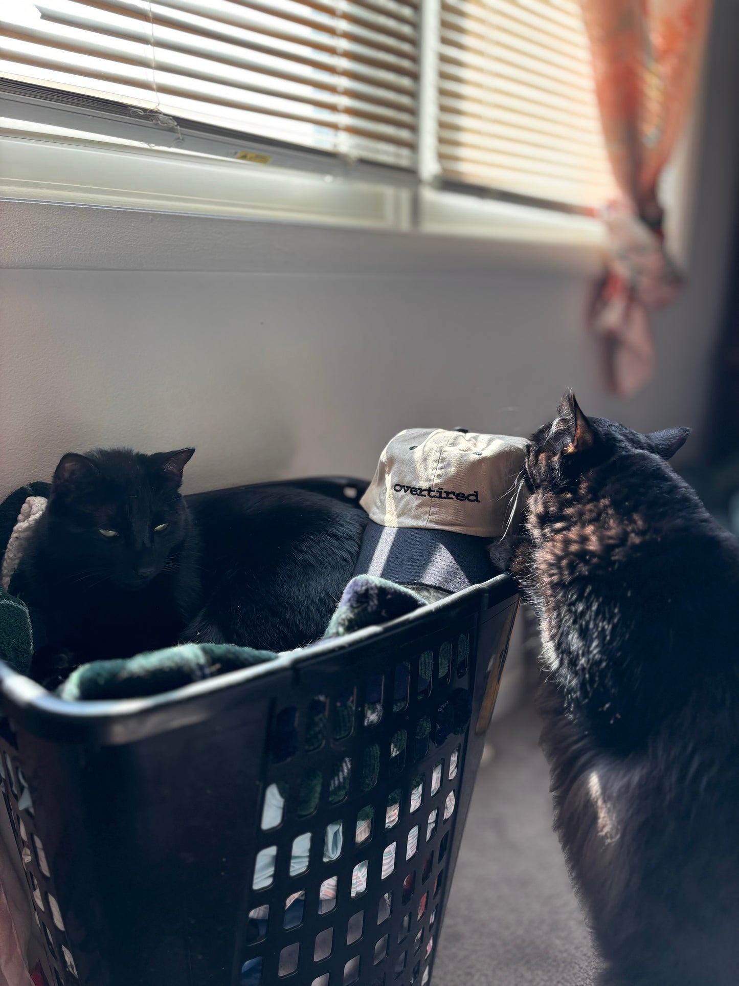 Overtired LOGO Dad Hat